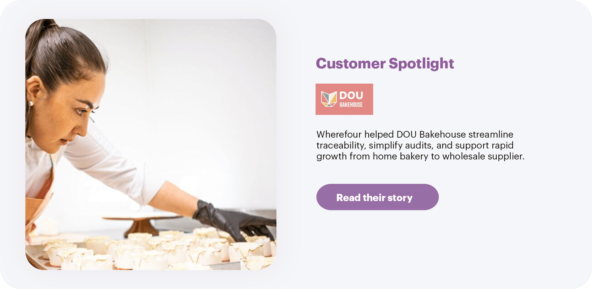 dou-spotlight-1 dou-spotlight-1